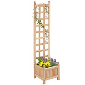 Wooden Raised Flower Bed with Trellis for Climbing Plants 11.75x11.5x49.25 Natural